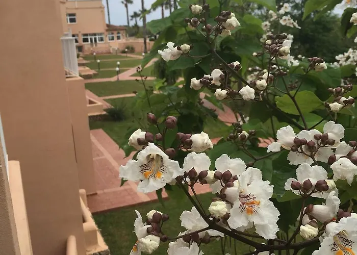 Arenas De Hotel Son Bou